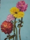 kellyflowers14_1